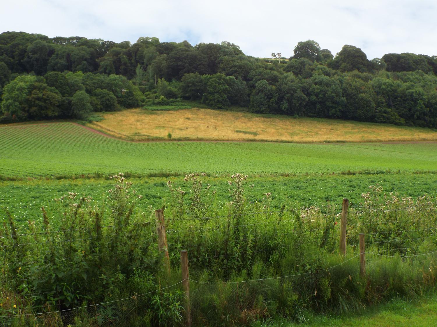 The Granary Villa Ross-on-Wye Buitenkant foto